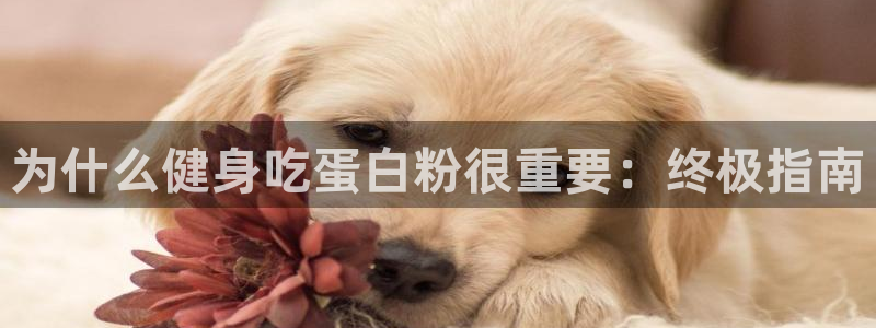 龙8国际官方网站-龙8国际pt老虎机