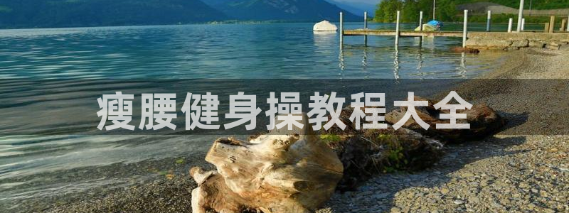 龙8官网国际
