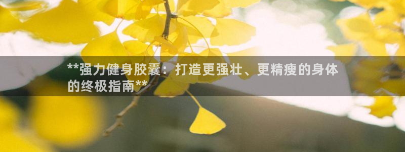 龙8 国际