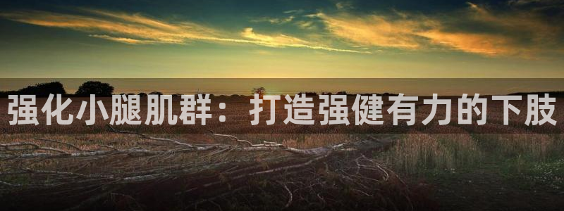 龙8app 国际