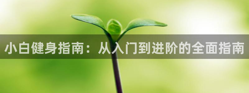 龙八国际首页