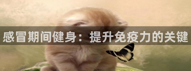 龙8国际long8
