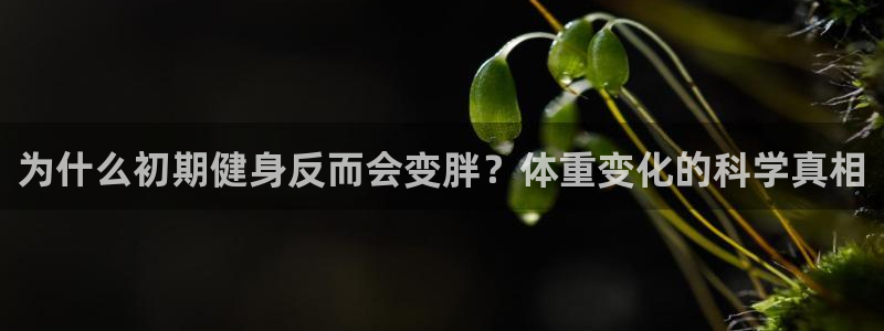 龙8游戏官方进入
