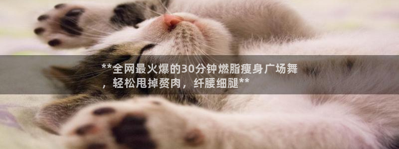 龙8国际最新官网