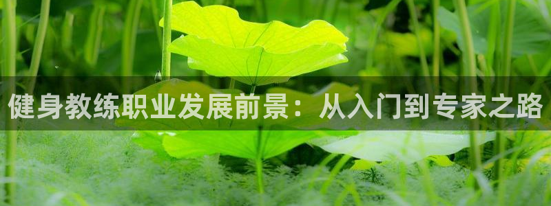 龙8国际2020官方网站