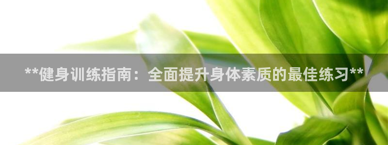 龙八国际娱乐老板是谁