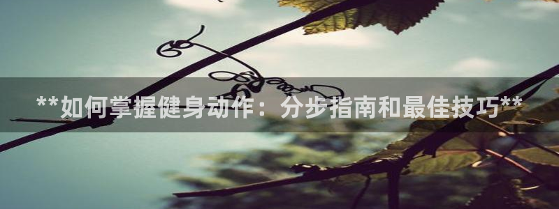 龙八国际官方网