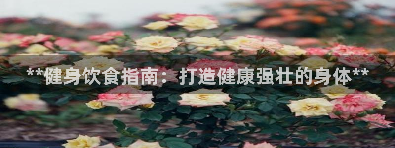 龙8国际安卓版