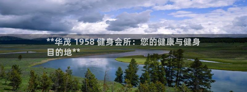 龙 八国际