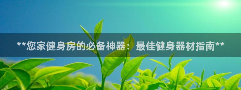 龙八国际手机客户端
