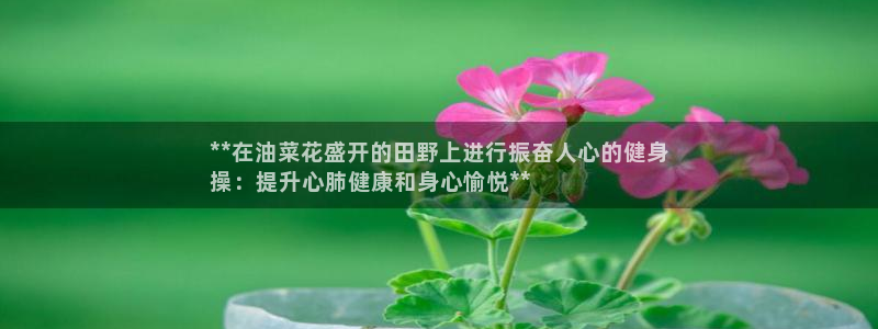 龙8游戏入口
