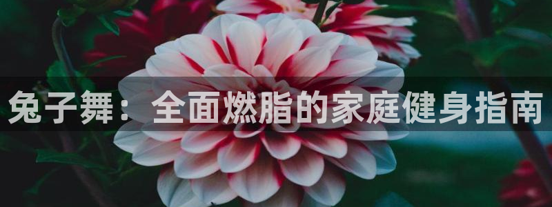 龙8国际首页