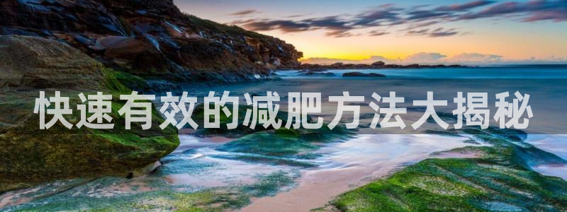 龙8老虎机手机版