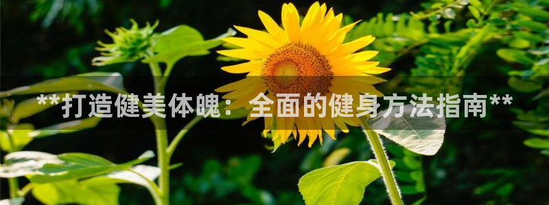 龙8国际官网 点此进入