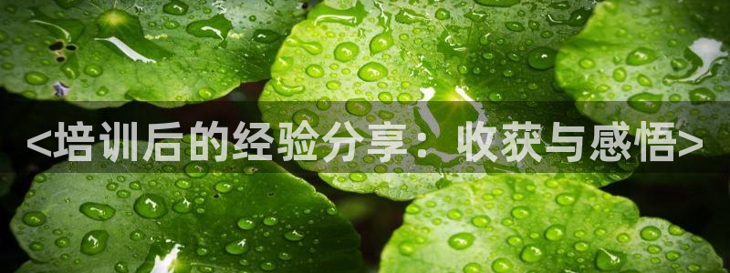 龙8国际线上