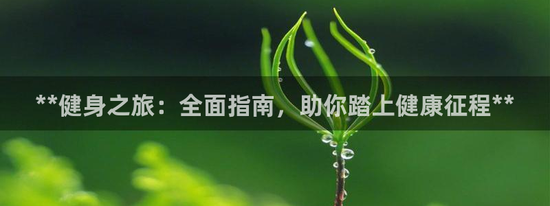 龙8国际的官网