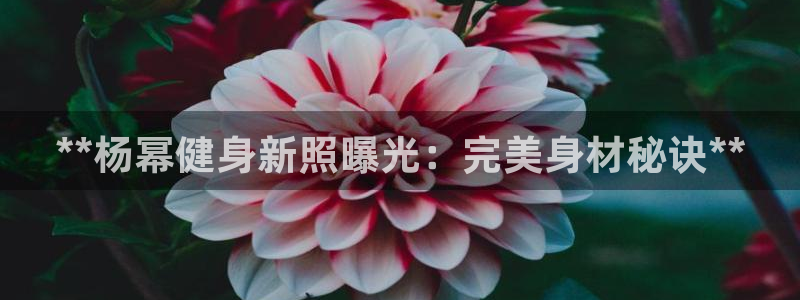 龙八国际娱乐平台网站
