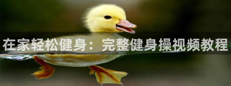 龙八国际服官网入口