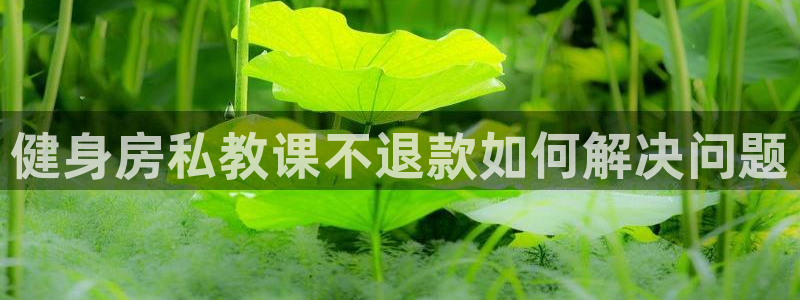 龙8国际正规吗