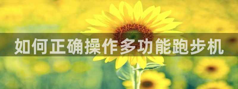 龙8官网在线试玩