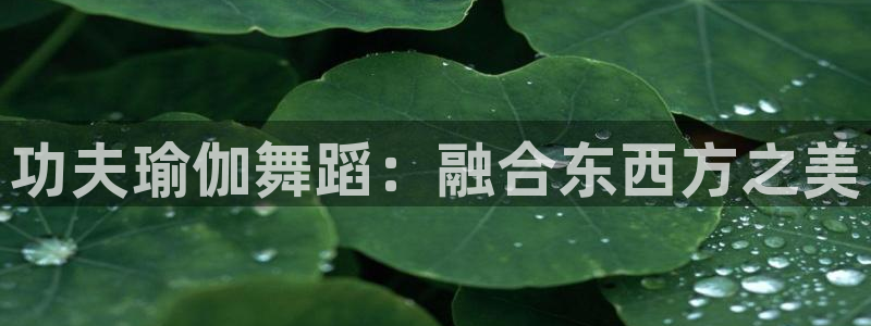 龙8全新客户端安卓版