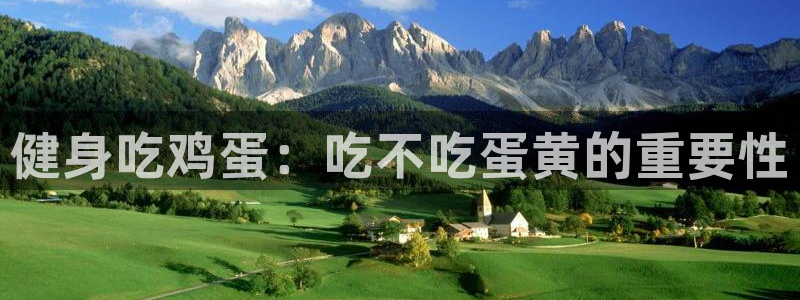 龙8国际pt