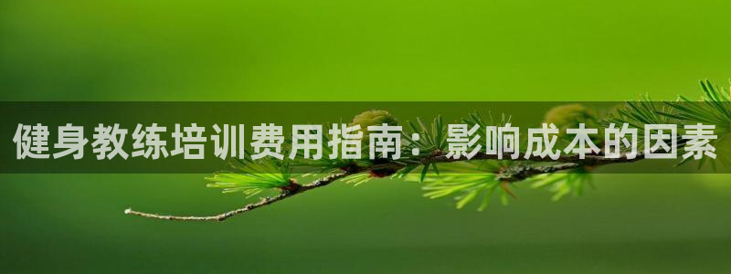 龙8国际官网版