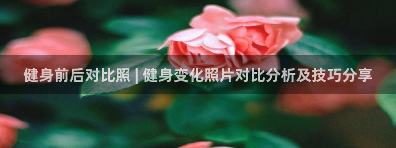 龙8国际官方网