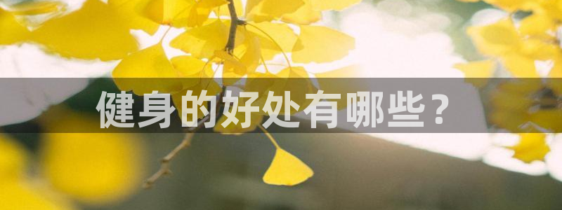 龙8国际棋牌
