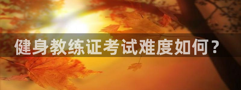 国际龙8hk