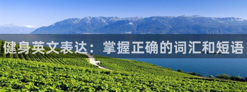龙8国际老虎机官网