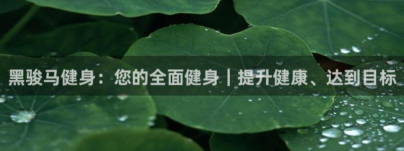 龙8国际官网版玩法
