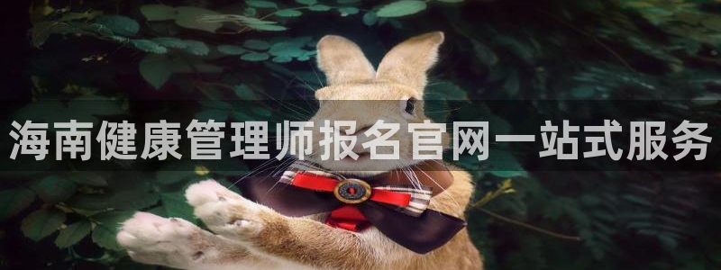龙8国际是什么电影
