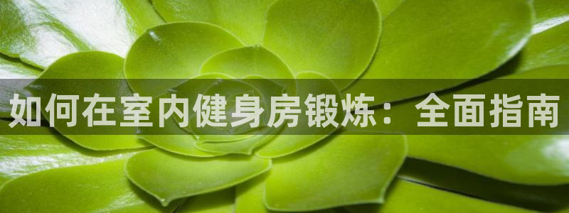 龙8游戏官方进入
