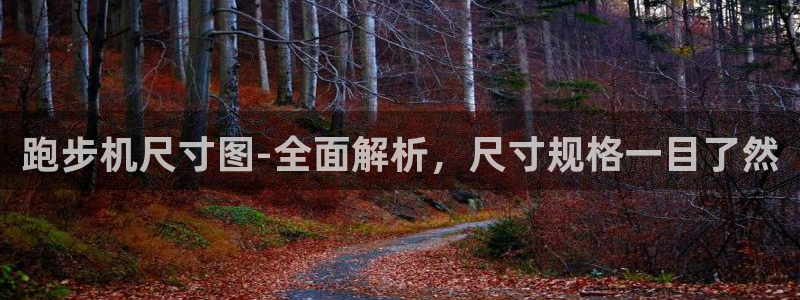 龙8国际的官网