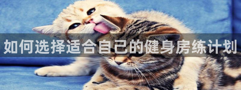 龙8国际官网唯一入口
