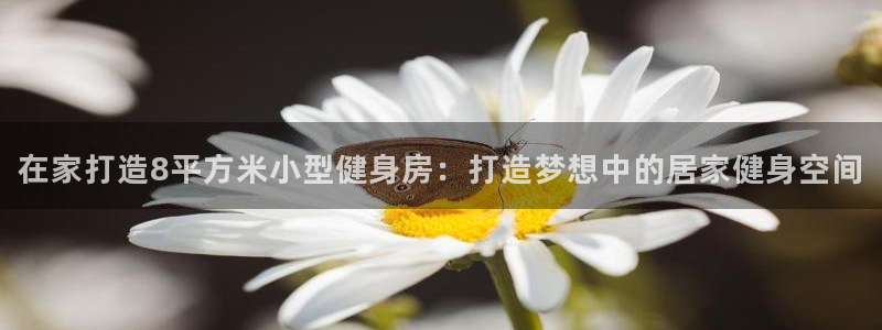 龙8国际的官网