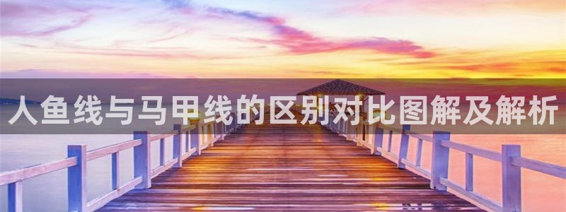 龙八国际官网下载