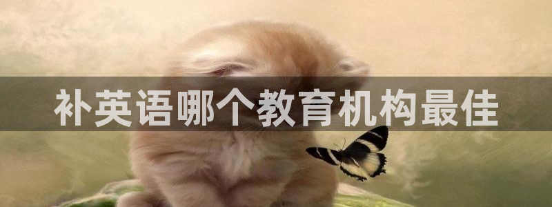 龙8国际手机游戏官网版