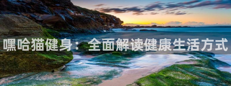 龙8国际官网版最新版下载