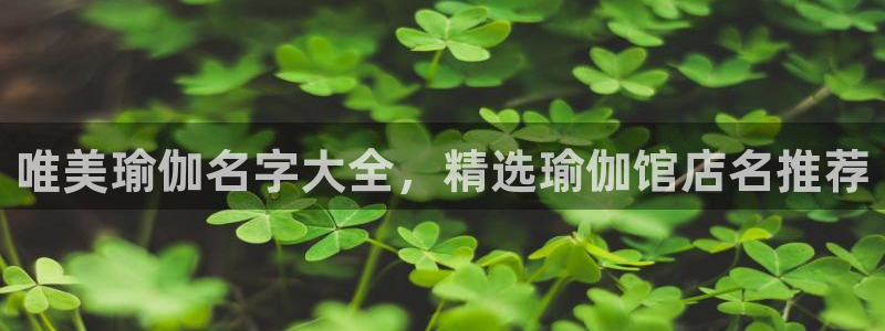 龙8国际官网