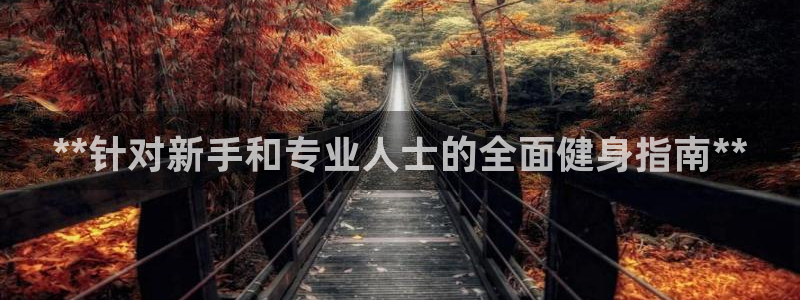 龙8国际官方下载