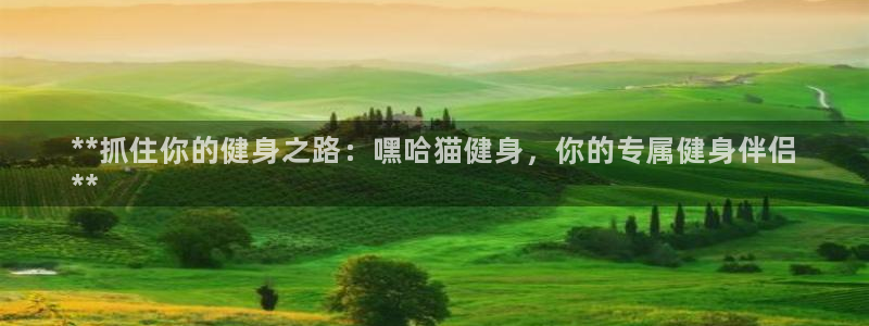 龙8国际手机版官网下载