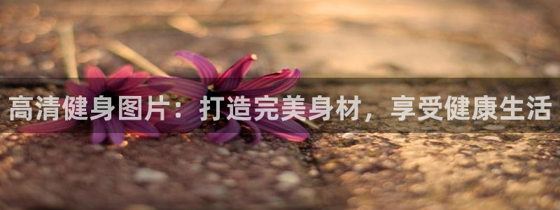 龙8国际手机版官网下载