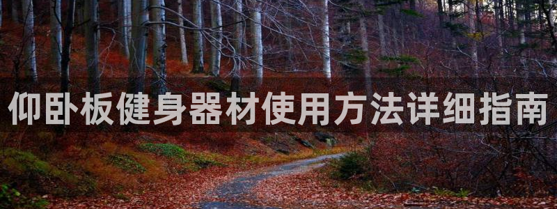 龙8国际龙8官方