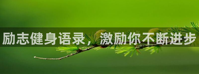 龙8国际app下载客户端