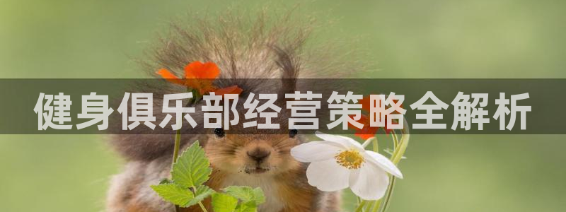 龙8游戏官方进入