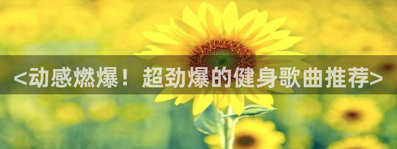 龙8国际3.0