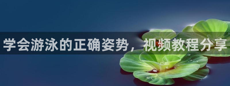 龙8国际头号玩家