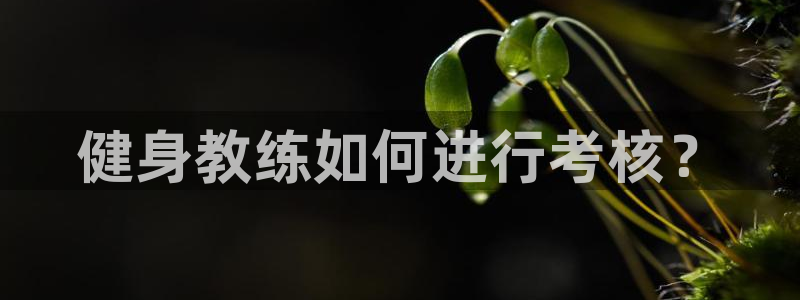 龙8国际网站是多少